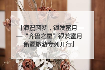 浪漫圆梦，银发蜜月——“齐鲁之星”银发蜜月新疆旅游专列开行